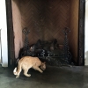 Spanish revival fireplace surround with understated simplicity by Archive Designs